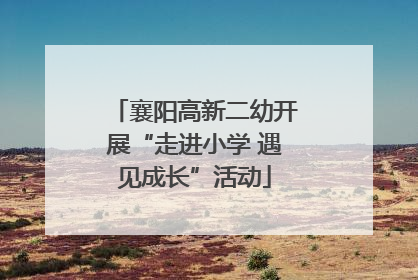 襄阳高新二幼开展“走进小学 遇见成长”活动