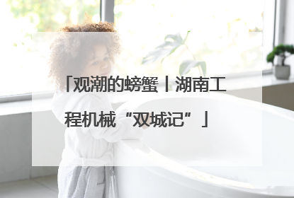 观潮的螃蟹丨湖南工程机械“双城记”