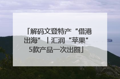 解码文登特产“借港出海”丨汇润“苹果”5款产品一次出圈