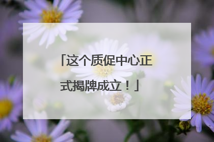 这个质促中心正式揭牌成立！