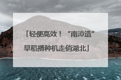 轻便高效！“南漳造”旱稻播种机走俏湖北