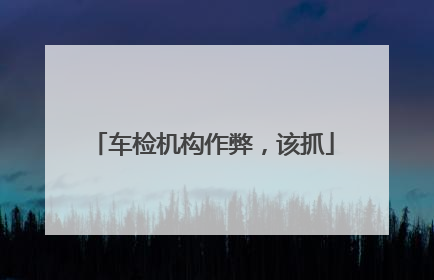 车检机构作弊，该抓
