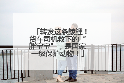 转发这条鲮鲤！货车司机救下的“胖宝宝”，是国家一级保护动物！