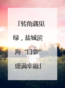 转角遇见绿，盐城滨海“口袋”盛满幸福