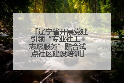 辽宁省开展党建引领“专业社工+志愿服务”融合试点社区建设培训