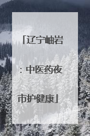 辽宁岫岩：中医药夜市护健康