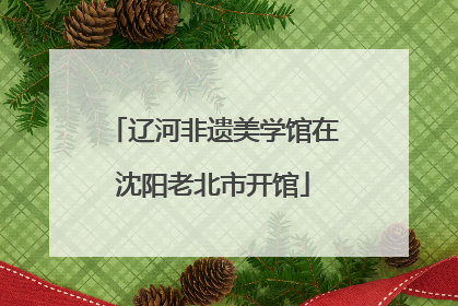 辽河非遗美学馆在沈阳老北市开馆