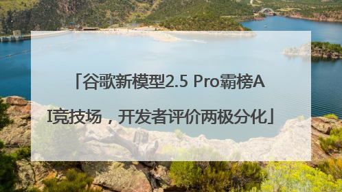 谷歌新模型2.5 Pro霸榜AI竞技场，开发者评价两极分化