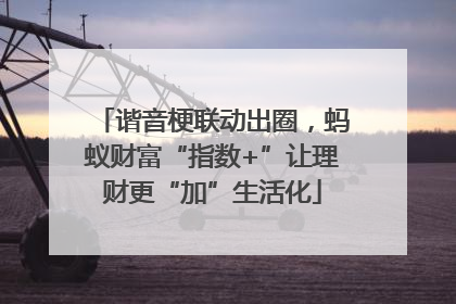 谐音梗联动出圈，蚂蚁财富“指数+”让理财更“加”生活化