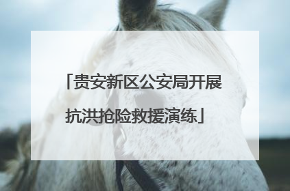 贵安新区公安局开展抗洪抢险救援演练