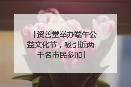 资善堂举办端午公益文化节，吸引近两千名市民参加