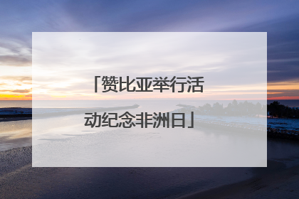 赞比亚举行活动纪念非洲日
