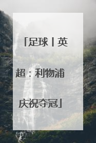 足球丨英超：利物浦庆祝夺冠