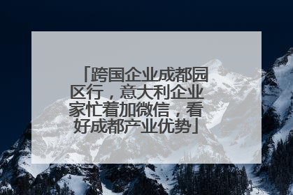 跨国企业成都园区行，意大利企业家忙着加微信，看好成都产业优势