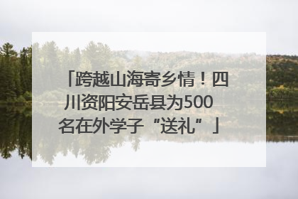 跨越山海寄乡情！四川资阳安岳县为500名在外学子“送礼”