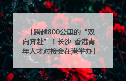 跨越800公里的“双向奔赴”！长沙-香港青年人才对接会在港举办