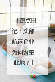 蹲点日记：头部航运企业为何聚集此地？