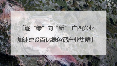 逐“绿”向“新” 广西兴业加速建设百亿绿色钙产业集群