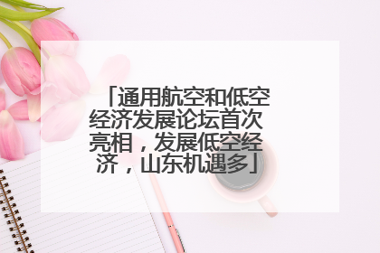 通用航空和低空经济发展论坛首次亮相，发展低空经济，山东机遇多