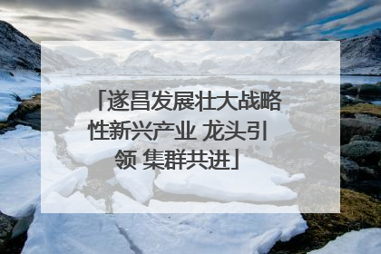 遂昌发展壮大战略性新兴产业 龙头引领 集群共进