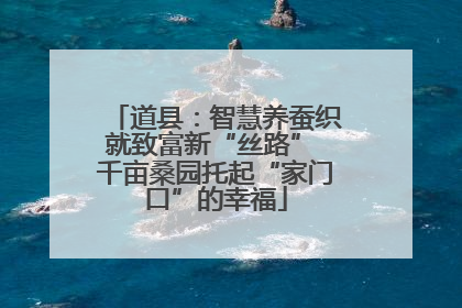 道县：智慧养蚕织就致富新“丝路” 千亩桑园托起“家门口”的幸福