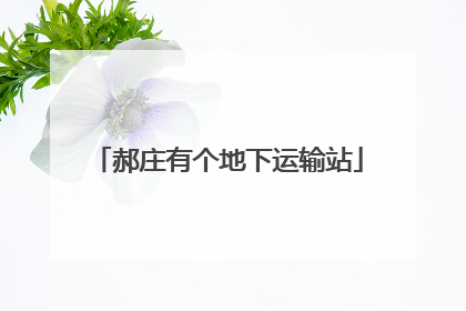 郝庄有个地下运输站
