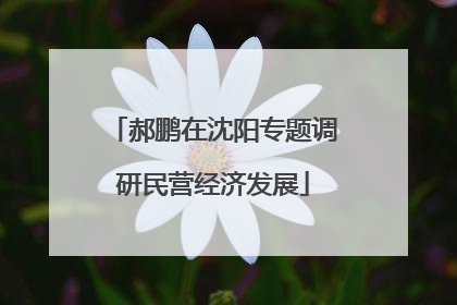郝鹏在沈阳专题调研民营经济发展