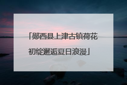 郧西县上津古镇荷花初绽邂逅夏日浪漫