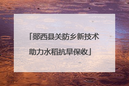 郧西县关防乡新技术助力水稻抗旱保收