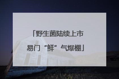 野生菌陆续上市 易门“鲜”气爆棚