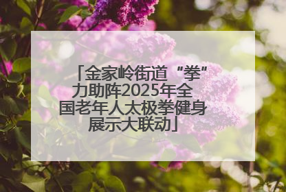 金家岭街道“拳”力助阵2025年全国老年人太极拳健身展示大联动