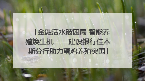 金融活水破困局 智能养殖焕生机——建设银行佳木斯分行助力蛋鸡养殖突围