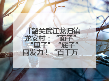 韶关武江龙归镇龙安村：“面子”“里子”“底子”同发力！“百千万工程”激活乡村新动能