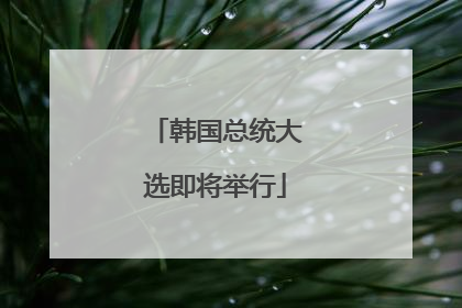 韩国总统大选即将举行