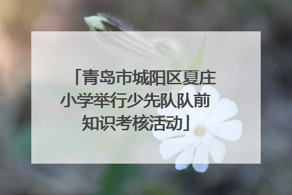 青岛市城阳区夏庄小学举行少先队队前知识考核活动