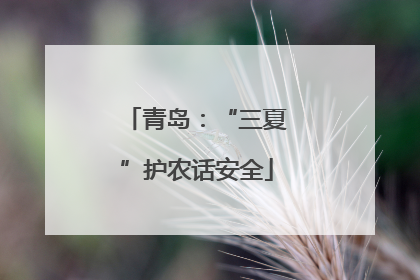 青岛：“三夏”护农话安全