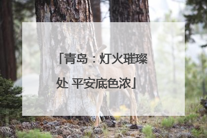 青岛：灯火璀璨处 平安底色浓
