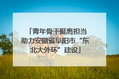 青年骨干挺膺担当 助力安徽省阜阳市“东北大外环”建设