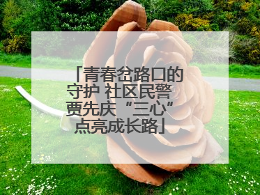 青春岔路口的守护 社区民警贾先庆“三心”点亮成长路