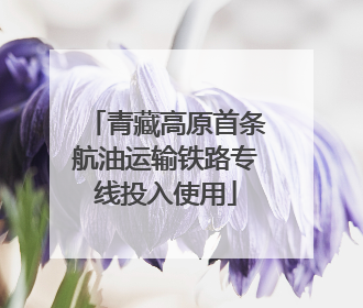 青藏高原首条航油运输铁路专线投入使用