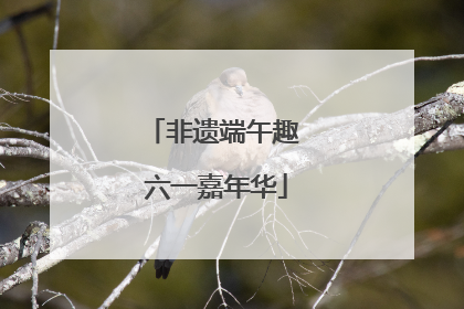 非遗端午趣 六一嘉年华