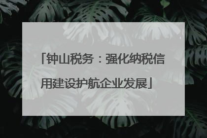 钟山税务：强化纳税信用建设护航企业发展