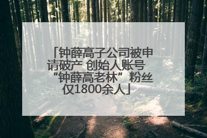 钟薛高子公司被申请破产 创始人账号“钟薛高老林”粉丝仅1800余人