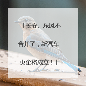长安、东风不合并了，新汽车央企将成立！