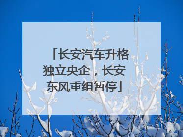 长安汽车升格独立央企，长安东风重组暂停