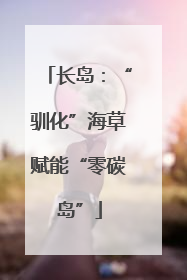 长岛：“驯化”海草赋能“零碳岛”