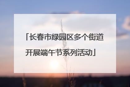 长春市绿园区多个街道开展端午节系列活动