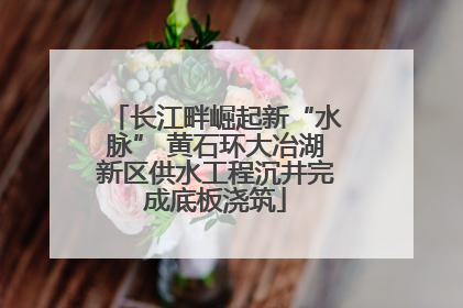 长江畔崛起新“水脉” 黄石环大冶湖新区供水工程沉井完成底板浇筑