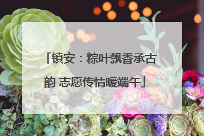 镇安：粽叶飘香承古韵 志愿传情暖端午