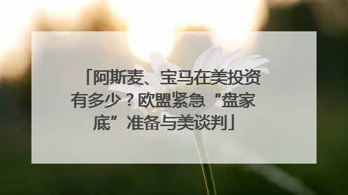 阿斯麦、宝马在美投资有多少？欧盟紧急“盘家底”准备与美谈判